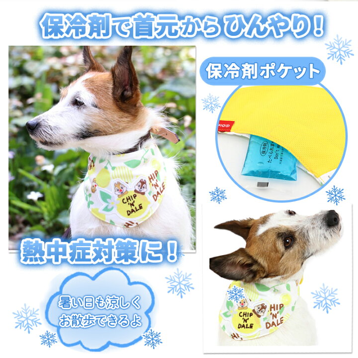 楽天市場 犬 クールバンダナ ひんやり 夏 バンダナ 保冷剤付き ディズニー チップとデール クール バンダナ 小型犬 レモン柄 ネッククーラー 首元 ひんやり バンダナ ひんやり 涼感 冷却 吸水速乾 メール便可 ペットパラダイス