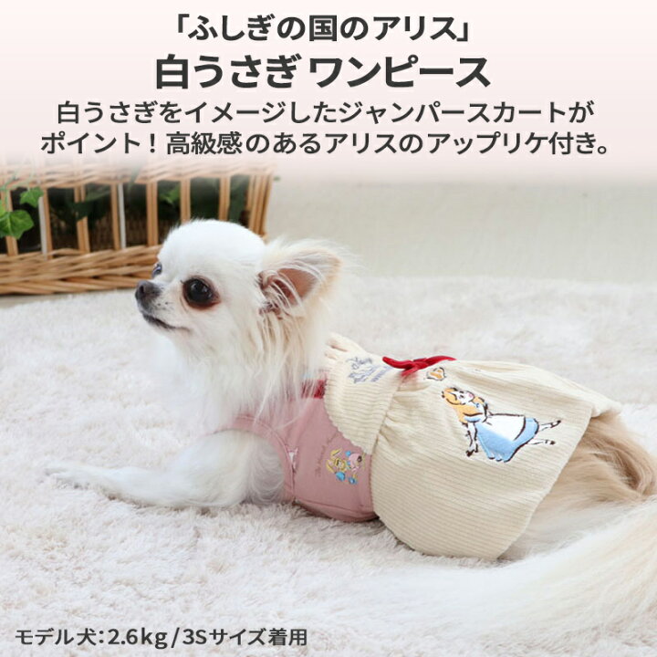 楽天市場 犬 服 秋冬 ディズニー ふしぎの国のアリス ワンピース 小型犬 白ウサギ 女の子 ペットウエア おしゃれ かわいい ドッグウエア ドッグウェア ベビー 超小型犬 小型犬 メール便可 ペットパラダイス