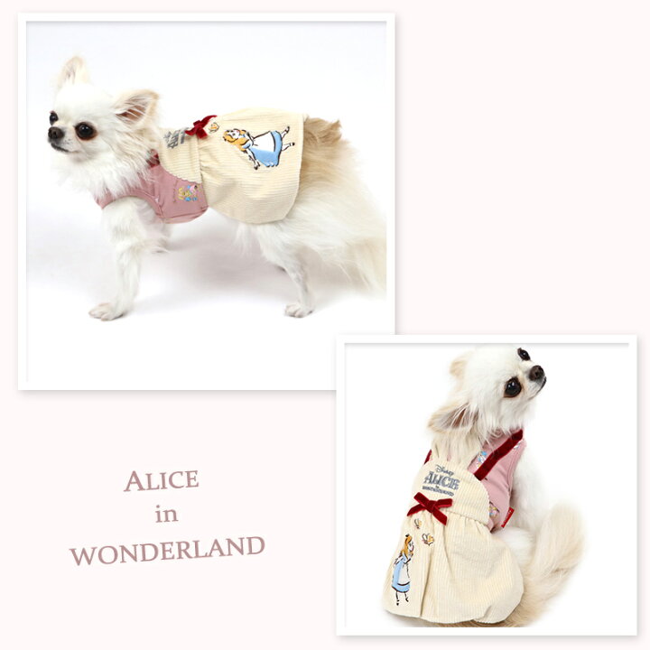 楽天市場 犬 服 ディズニー ふしぎの国のアリス ワンピース 小型犬 白ウサギ 女の子 ペットウエア おしゃれ かわいい ドッグウエア ドッグウェア ベビー 超小型犬 小型犬 メール便可 アリス特集 ペットパラダイス