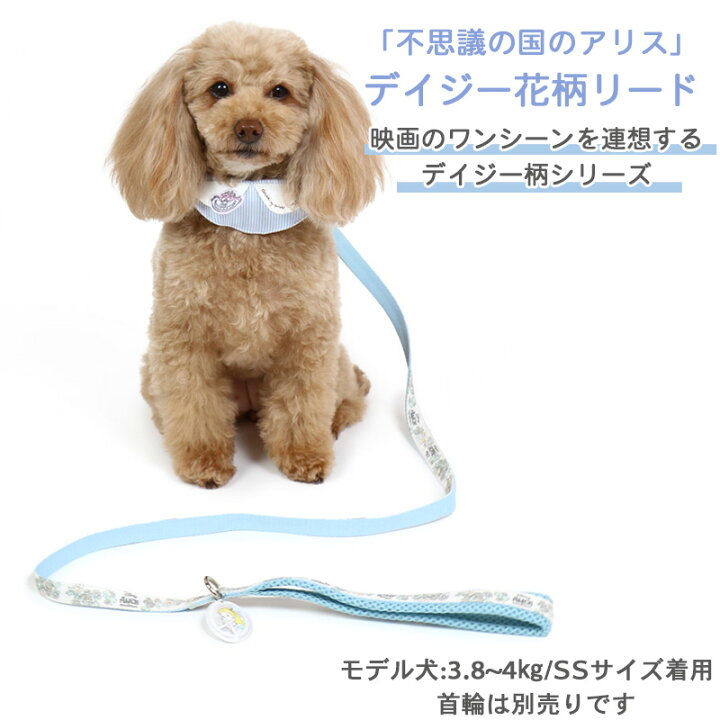 楽天市場 犬 リード ディズニー ふしぎの国のアリス花柄リード ４ｓ ３ｓ 小型犬 おさんぽ おでかけ お出掛け おしゃれ オシャレ かわいい アリス特集 ペットパラダイス