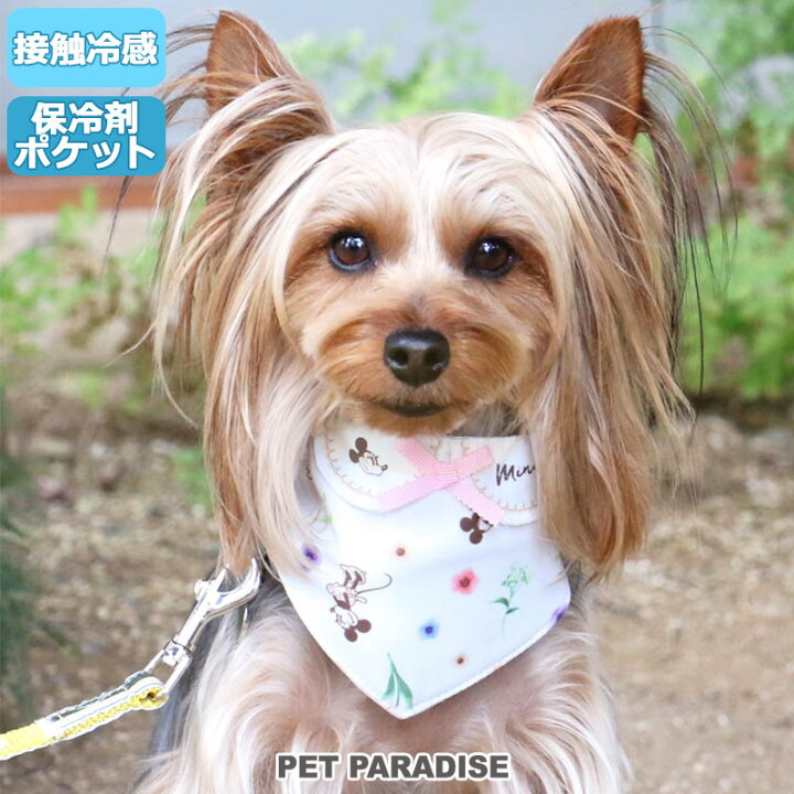 楽天市場 犬 クールネック クール バンダナ ひんやり 夏 保冷剤付き ディズニー ミニーマウス 水彩 花柄 ネッククーラー 小型犬 首元 ひんやり バンダナ ひんやり 涼感 冷却 吸水速乾 キャラクター メール便可 ペットパラダイス