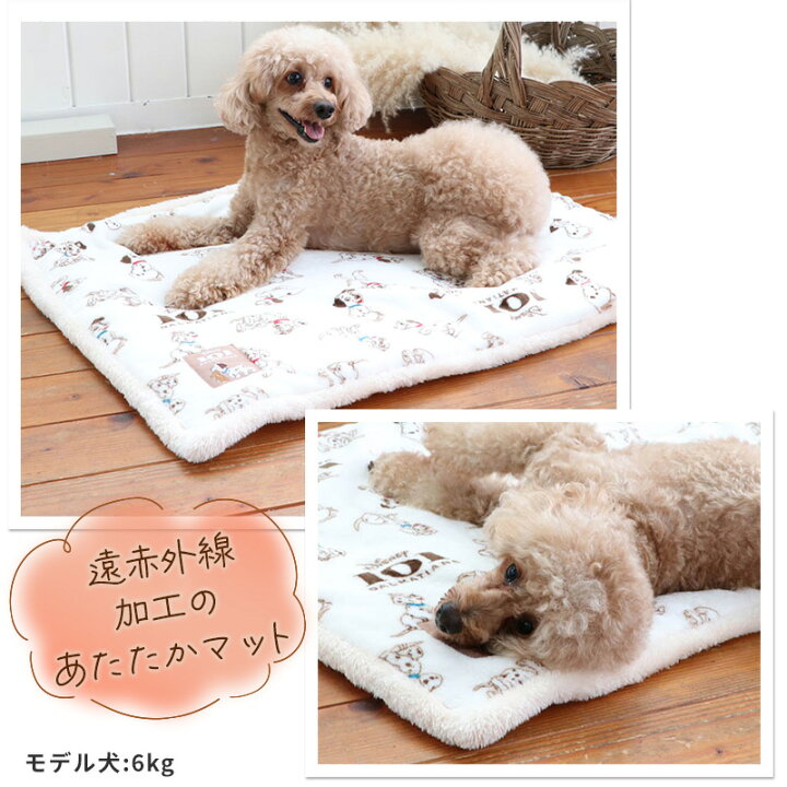 楽天市場 ポイント5倍 犬 マット 遠赤外線 ディズニー 101匹わんちゃん ボアマット 80 60cm クリスマス 暖かい あったか 保温 防寒 防寒対策 猫 ベッド 小型犬 おしゃれ かわいい 四角 キャラクター グッズ プレゼント ペットパラダイス 楽天市場 ポイント5倍 犬 マット 遠赤外線 ディズニー 101匹わんちゃん ボアマット 80 60cm クリスマス 暖かい あったか 保温 防寒 防寒対策 猫 ベッド 小型犬 おしゃれ かわいい 四角 キャラクター グッズ プレゼント ペットパラダイス