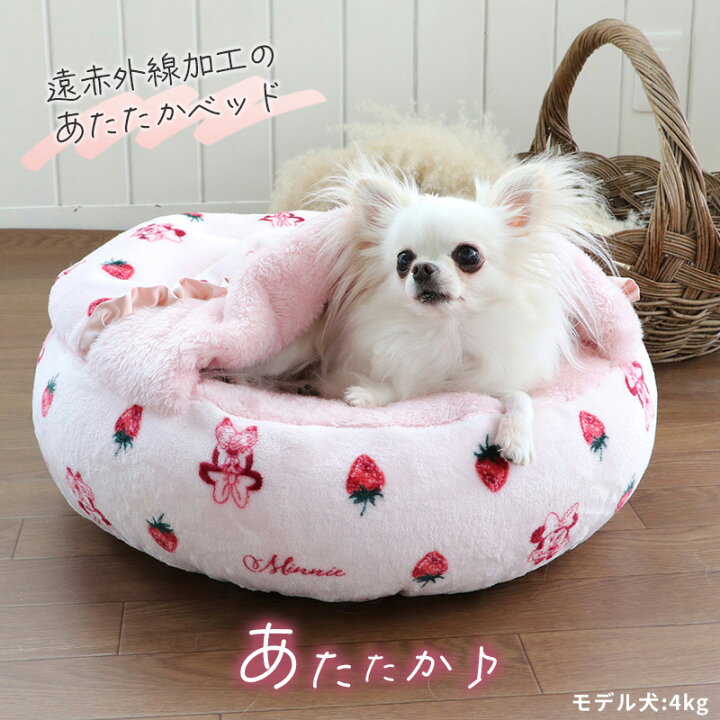楽天市場 犬 ベッド 遠赤外線 ディズニー ミニーマウス 丸型 寝袋 カドラー 50cm 苺柄 クリスマス あったか ベッド ドーム ふわふわ おしゃれ いちご かわいい ボア 冬 冬用 丈夫 猫 ベッド ペットベッド 暖かい 保温 防寒 防寒対策 もこもこ 介護 楽天市場 犬 ベッド 遠赤外線 ディズニー ミニーマウス 丸型 寝袋 カドラー 50cm 苺柄 クリスマス あったか ベッド ドーム ふわふわ おしゃれ いちご かわいい ボア 冬 冬用 丈夫 猫 ベッド ペットベッド 暖かい 保温 防寒 防寒対策 もこもこ 介護