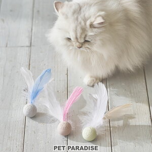 fBYj[ Lbg L  VR {[ H t 3Zbg | }[ xI[Y gD[Y  ƗV {[ I` ybĝ ybggC 