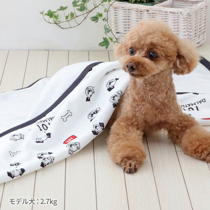 楽天市場】ディズニー 犬 ブランケット 夏用 クール 小型犬 | 101匹 