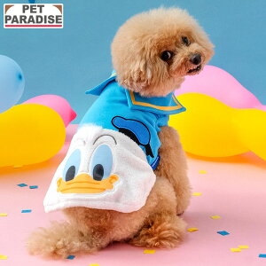 yő2000~OFFN[|zfBYj[ hih _bN   H ӂӂ  g[i[ ^ | u[  킢 