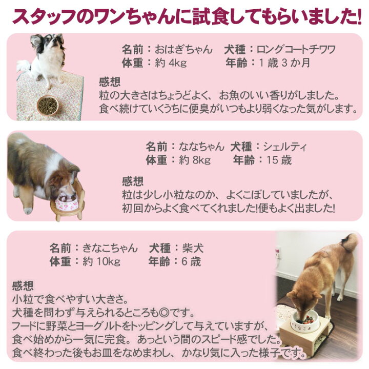 楽天市場 賞味期限 22年5月31日まで 犬 おやつ 国産 ドッグフード ドライフード リアルフード フローラ 1kg 犬用総合栄養食 全犬種用 高齢犬 シニア ペットフード 犬 小分け 犬用 ペット 豚肉 ポーク ペットパラダイス