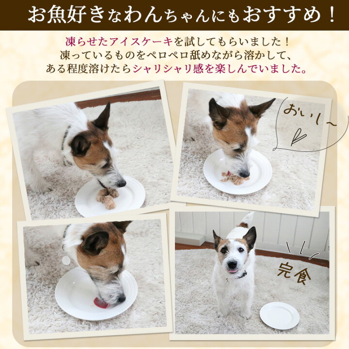 楽天市場】猫 猫缶 キャットフード ウェット まぐろほぐし 75g しらす 紅鮭 ほたて | おやつ 国産 ねこ ネコ ギフト 猫おやつ 猫フード 魚 フィッシュ リアルフード ウェットフード cat おやつ 缶詰 猫用 フード ごはん フィッシュ 贅沢 非常食 保存食 栄養補給 :