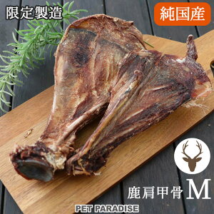  ʌ   Y  b f^ MTCY | 萻 n[h^Cv ق ԐH VJ MBY   XgXPA  Ic ^