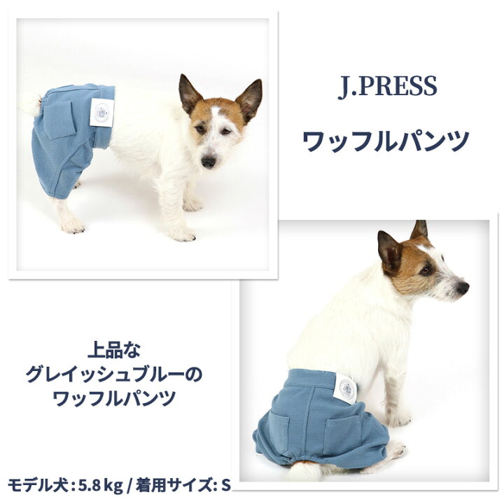 楽天市場 犬 セール 犬 服 春服 J Press パンツ 小型犬 アウトレット Sale 返品交換不可 ワッフル ボトムス ズボン ペットウエア ペットウェア ドッグウエア ドッグウェア ベビー 超小型犬 小型犬 メール便可 ペットパラダイス