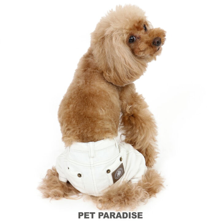 楽天市場 犬の服 犬 J Press パンツ 小型犬 ホワイトコーデュロイ ボトムス ズボン ペットウエア ペットウェア ドッグウエア おしゃれ かわいい 小型犬 メール便可 ペットパラダイス