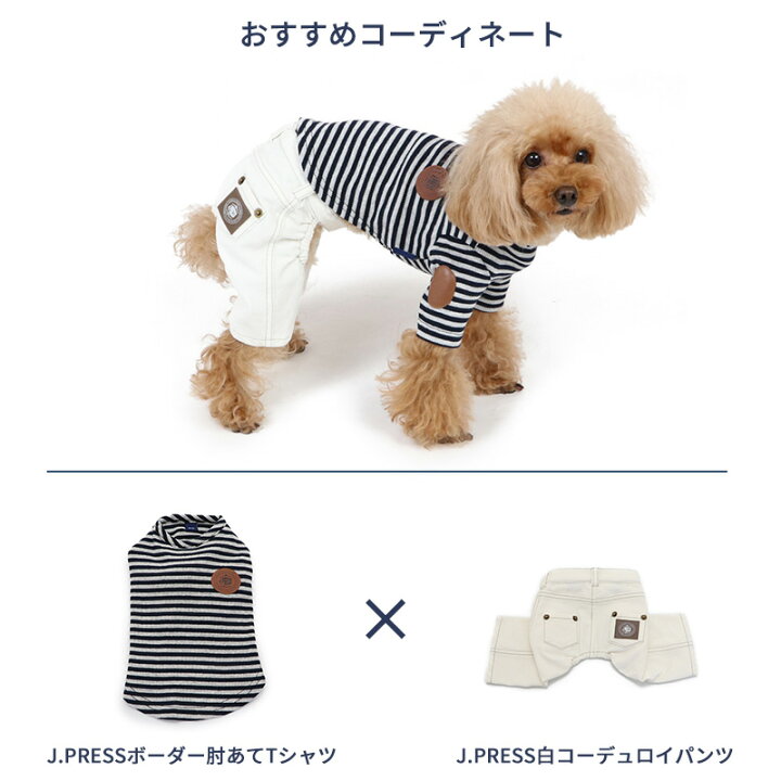 楽天市場 300円offｸｰﾎﾟﾝ対象 犬 犬服 J Press パンツ 小型犬 ホワイトコーデュロイ ボトムス ズボン ペットウエア ペットウェア ドッグウエア おしゃれ かわいい ベビー 超小型犬 小型犬 メール便可 プレゼント ギフト ペットパラダイス