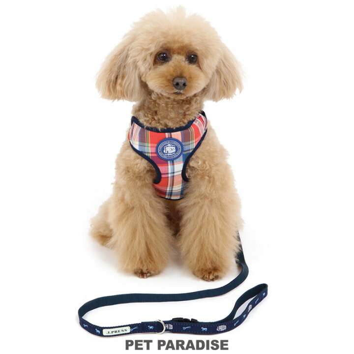 楽天市場 犬 ハーネス リード J Press ハーネス リード ｓ マドラス 一体型 小型犬 超小型犬 簡単装着 おしゃれ オシャレ かわいい かっこいい おさんぽ おでかけ お出掛け プレゼント ギフト ペットパラダイス