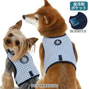 J.PRESS  N[ n[lX `FbN ^ ^ | `FbN WFCvX ۗ pn[lX 킢  U o Ђ 