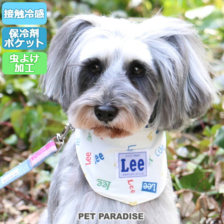 楽天市場 犬 クールネック クール バンダナ ひんやり 夏 保冷剤付き ｌｅｅ ロゴ柄 ネッククーラー 小型犬 首元 ひんやり バンダナ ひんやり 涼感 冷却 吸水速乾 キャラクター メール便可 ペットパラダイス