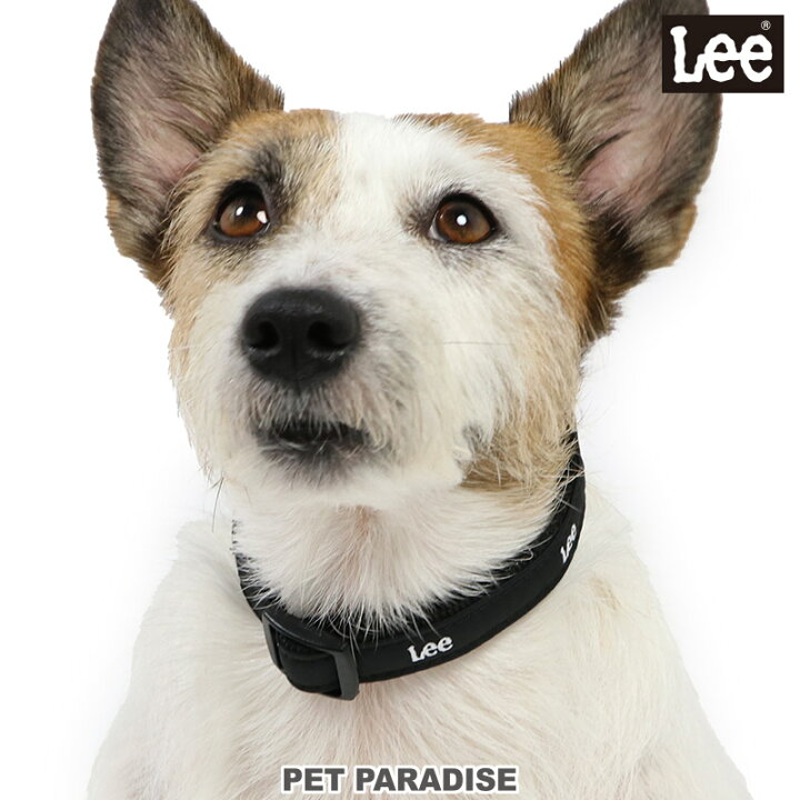 楽天市場 犬 首輪 ｌｅｅ おしゃれ ｓｓ 反射 チャーム付き Lee リー 軽量 小型犬 散歩 おさんぽ おでかけ お出掛け おしゃれ オシャレ かわいい かっこいい プレゼント ギフト メール便可 ペットパラダイス