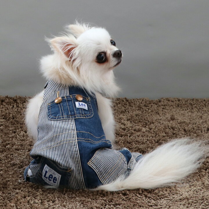 楽天市場】【最大2000円OFFｸｰﾎﾟﾝ】犬 服 Lee オーバーオール パンツ 
