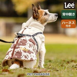 Lee   ~  AE^[n[lX wJ ^ | H~ ̌^  킢 