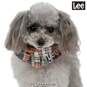 Lee   `FbN ݕt 2Way ^ 3S`S | O \  킢 