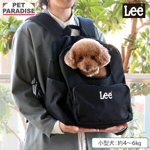 y12/10()20`撅50N[|zyybgp_CXz Lee  L[obO fC[bN ^ | ubN яoh~Xgbv   L[P[X L[obO 