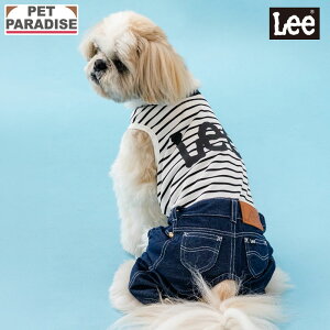 �yP5�{�z�y880�~OFF�z�y�y�b�g�p���_�C�X�����z Lee �� �� �� ���̎q �{�[�_�[ �p���c�Ȃ� ���^�� | �Ȗ͗l �f�j�� �C���f�B�S ���Ȃ� �u�����h �J�W���A�� ������� ���킢�� ����������