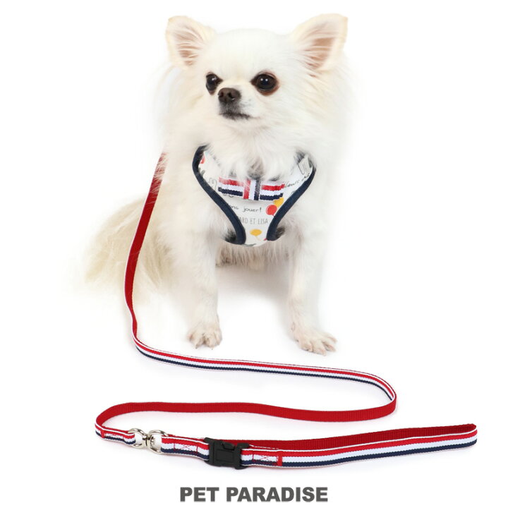 楽天市場 犬 ハーネス リサとガスパール s 風船柄 ハーネスリード 一体型 簡単装着 小型犬 おさんぽ おでかけ お出掛け おしゃれ オシャレ かわいい キャラクター ペットパラダイス 楽天市場 犬 ハーネス リサとガスパール s 風船柄 ハーネスリード 一体型 簡単装着 小型犬 おさんぽ おでかけ お出掛け おしゃれ オシャレ かわいい キャラクター ペットパラダイス
