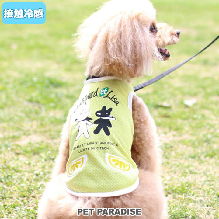 楽天市場 300円offｸｰﾎﾟﾝ対象 犬 服 クール 接触冷感 リサとガスパール タンクトップ 小型犬 シトロン ペットウエア ドッグウエア ドッグウェア イヌ おしゃれ かわいい ひんやり 夏 涼感 冷却 吸水速乾 タッチワンクール メール便可 ペットパラダイス