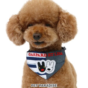   TƃKXp[ o_it 2Way ^ ^ | {[_[ ؑ ł U  킢  Ђ悱