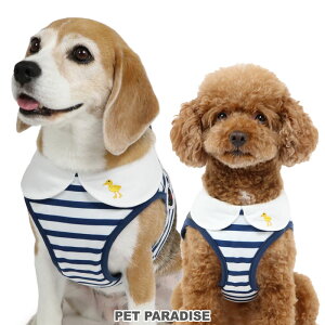  n[lX xXgn[lX TƃKXp[ ؑ ^ ^ ^ | pn[lX{[_[ Ђ悱 bV ł o U  킢