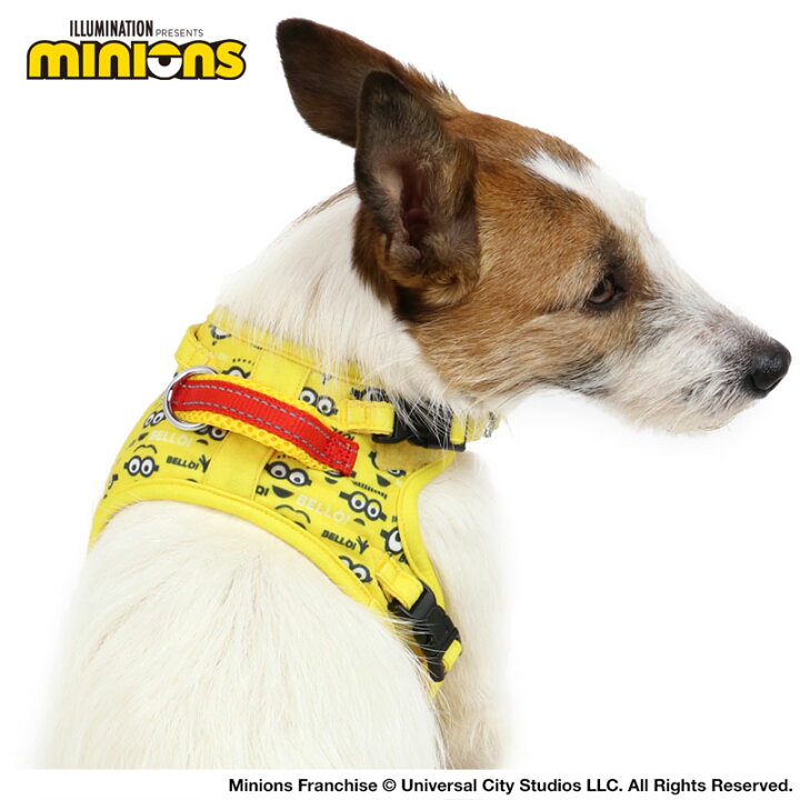 楽天市場 犬 セール 犬 ハーネス ミニオン ３ｓ やさしいハーネス アウトレット Sale 返品交換不可 おさんぽ おでかけ お出掛け おしゃれ オシャレ かわいい ミニオン グッズ ミニオンズ メール便可 ペットパラダイス