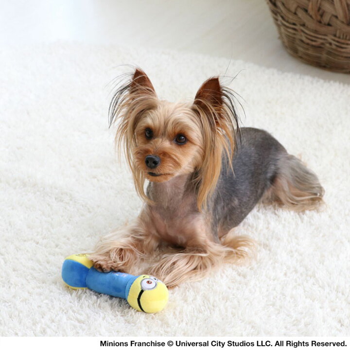 楽天市場 犬 おもちゃ ミニオン ダンベル おもちゃ ボブ ティム 音が鳴る ぬいぐるみ ロープ オモチャ 玩具 トイ Toy 小型犬 猫 かわいい おもしろ インスタ映え ペットパラダイス