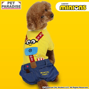 y{20`撅50N[|zyybgp_CXz ~jI {u   t TXy_[ pcȂ ^ | CG[ uh JWA  킢