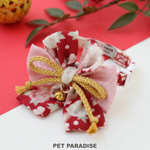 L H a  ˂  obN  t S2F / / | ѕ p