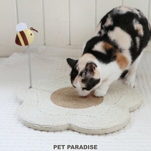 yő2000~OFFN[|zL ܂Ƃ v[g   I ˂ | XgX KK Lbg XNb`[  킢  t