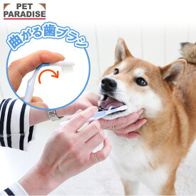 【最大2000円OFFクーポン】ペットパラダイス公式 犬 歯磨き 曲がる 歯ブラシ | ブルー 国産 全犬種対応 犬用歯ブラシ 猫用 ペット用 歯みがき はぶらし ハブラシ 犬 口 ケア 猫 口 ケア