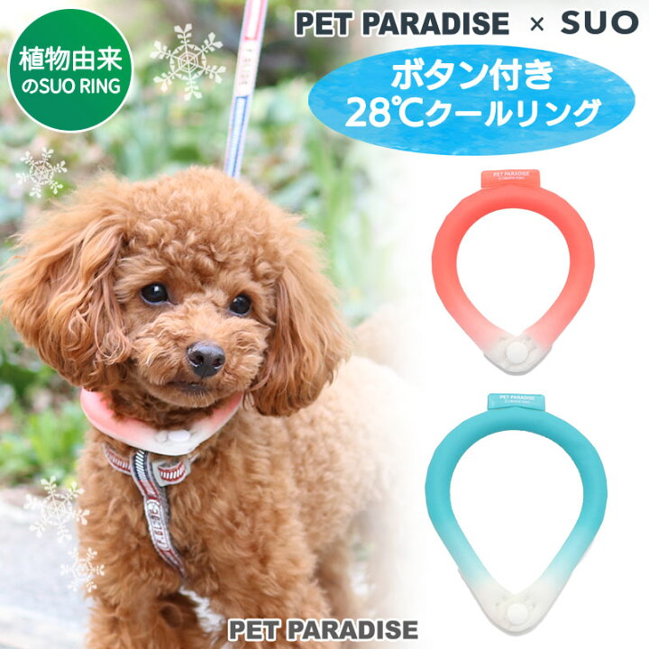 楽天市場 クールリング 犬 クールネック ひんやり 28 クールリング ３ｓ 小型犬 ネッククーラー ひえひえ ボタン付き ブルー ピンク 繰り返し 何度も使える クールネック 冷感 お散歩 アイシング 首もと冷却 暑さ対策 熱中症対策 夏 バンダナ 首掛 メール便可
