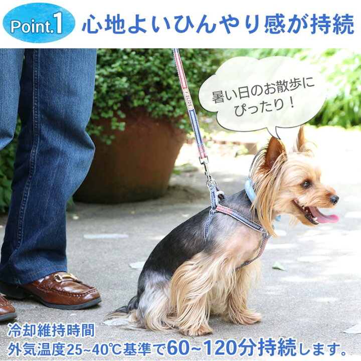 楽天市場 300円クーポン対象 クールリング 犬 ひんやり 28 クールリング 小型犬 ネッククーラー ひえひえ ボタン付き ブルー ピンク 繰り返し 何度も使える ネック クール 冷感 お散歩 アイシング 首もと冷却 暑さ対策 熱中症対策 夏 特許取得済 メール便可