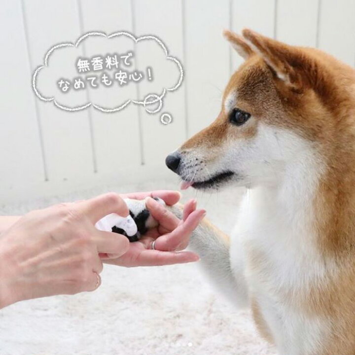 楽天市場 犬 猫 肉球 ケア フォーム 100ml 犬 猫 お散歩 お出かけ 保湿 洗浄 なめても安全 国産 ペットパラダイス