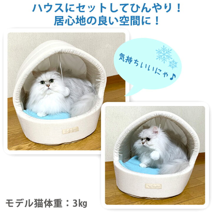 楽天市場 ペットキャリー カート用 コンパクトクーラー 25 22cm ひえひえ クールバッグ ひんやり マット犬 猫 ペット キャリーバッグ キャリーバック カート バギー 犬用 冷却 ひんやり 夏用 涼しい 枕 ジェルマット 熱中症対策 ペットパラダイス