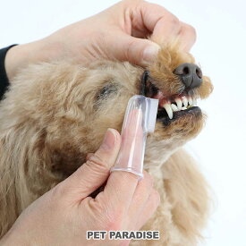 犬 歯磨き シリコン製 指 歯ブラシ 2個入り | 国産 犬用品 歯みがき 犬 デンタルケア