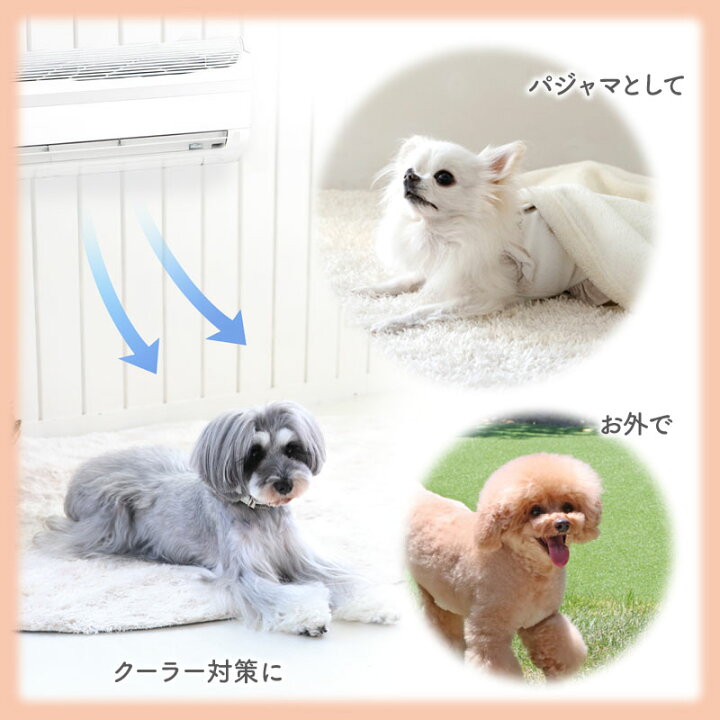 楽天市場】ディズニー ダンボ 犬 服 春 サーモキープ Tシャツ 小型犬 