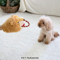 犬 おもちゃ ライオン パペット | おうちで遊ぼう おうち時間 オモチャ ペット トイ 玩具 TOY 小型犬 か…