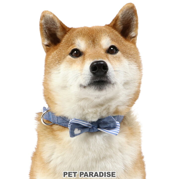 楽天市場 300円クーポン対象 犬 首輪 l デニム リボン 女の子 大型犬 おさんぽ おでかけ お出掛け おしゃれ オシャレ かわいい メール便可 母の日 プレゼント 父の日 ペットパラダイス 楽天市場 300円クーポン対象 犬 首輪 l デニム リボン 女の子 大型犬 おさんぽ おでかけ お出掛け おしゃれ オシャレ かわいい メール便可 母の日 プレゼント 父の日 ペットパラダイス