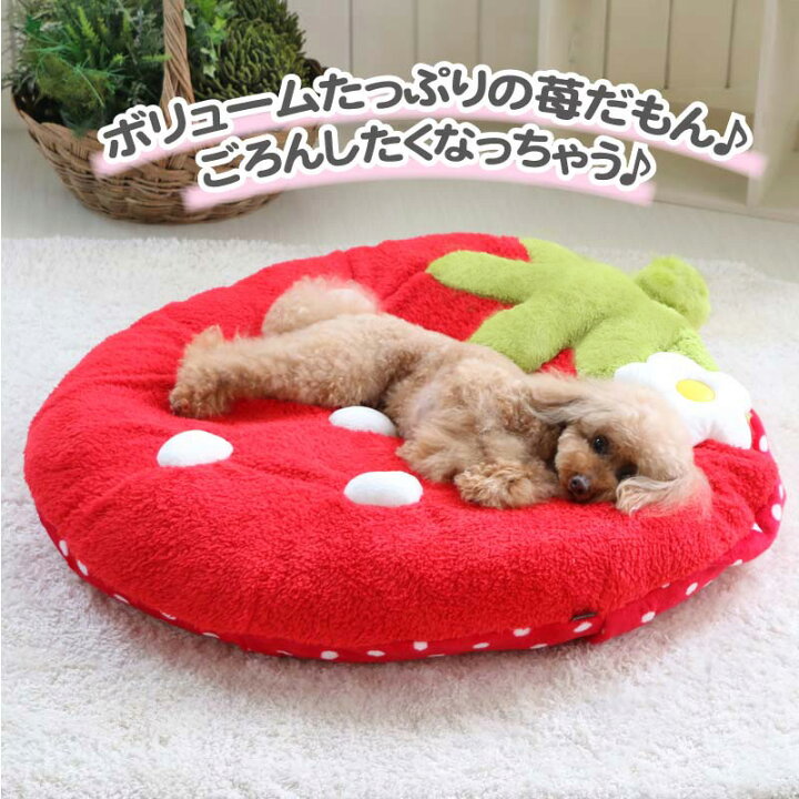 楽天市場 犬 ベッド おしゃれ クッション 92 90cm でかクッション 野いちご 型 ふわふわ 苺商品 女の子 送料無料 ネット限定 苺 いちご イチゴ 野いちご 野苺 クッション カドラー マット 犬 猫 大きい 多頭飼い ペットパラダイス