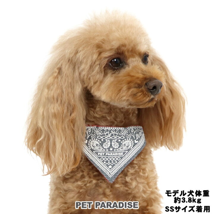 楽天市場 犬 首輪 ｓ バンダナ 小型犬 おさんぽ おでかけ お出掛け おしゃれ オシャレ かわいい メール便可 ペットパラダイス
