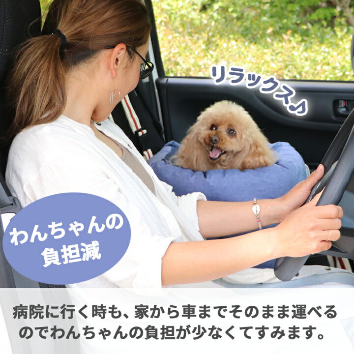 市場 犬 ドライブ 小型犬 ピスタチオ ボックス キャリーバッグ
