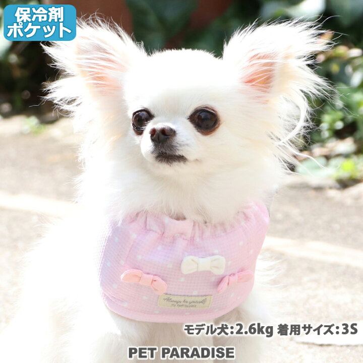 楽天市場 犬 セール 犬 クールネック クールバンダナ ひんやり 夏 バンダナ 保冷剤付き クール バンダナ 小型犬 スヌード リボン ネッククーラー アウトレット Sale 返品交換不可 首元 ひんやり バンダナ ひんやり 涼感 冷却 吸水速乾 メール便可 ペット