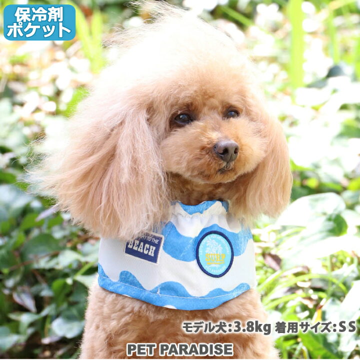 楽天市場 犬 セール 犬 クールネック クールバンダナ ひんやり 夏 バンダナ 保冷剤付き クール バンダナ 小型犬 波線柄 ネッククーラー アウトレット Sale 返品交換不可 首元 ひんやり バンダナ ひんやり 涼感 冷却 吸水速乾 メール便可 ペットパラダイス