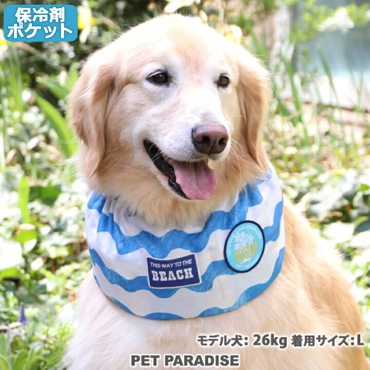 市場 犬 クールネック 保冷剤付き 夏 ネッククーラー 小型犬 ひんやり くま柄 バンダナ クール