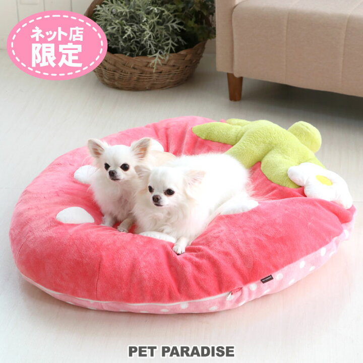 楽天市場 犬 ベッド おしゃれ クッション 92 90cm でかクッション 野いちご 型 ふわふわ 春桃 苺商品 女の子 送料無料 ネット限定 苺 いちご イチゴ 野いちご 野苺 クッション カドラー マット 犬 猫 大きい 多頭飼い ペットパラダイス